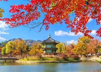 Here 10 Tips Before Visiting South Korea
