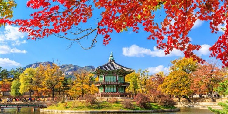 Here 10 Tips Before Visiting South Korea