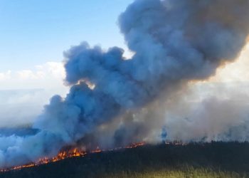 Study: 2020 is Set to Become One of the Hottest Years on Record