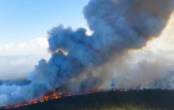 Study: 2020 is Set to Become One of the Hottest Years on Record