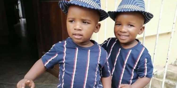 Twin Toddlers Tragically Die After One Falls Into the Pool and the Other Dives in to Save Him
