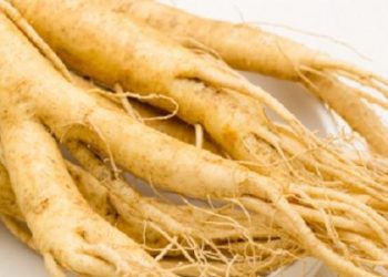 Fact About Korean Ginseng