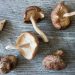 Is It True that Mushrooms Can Fight With Covid-19?