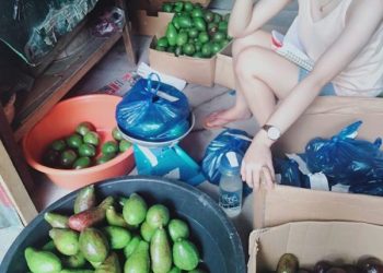Getting Layoffed, a Beautiful Flight Attendant Decided to Sell Avocados to Getting Money
