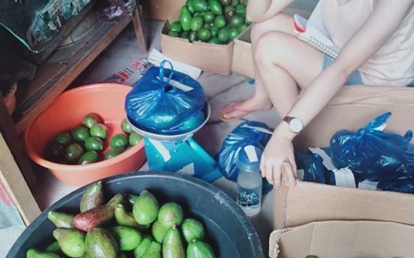 Getting Layoffed, a Beautiful Flight Attendant Decided to Sell Avocados to Getting Money