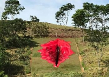 After Creates 108-foot Vagina Sculpture on Hill Near Her House, an Artist Becomes Viral