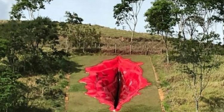 After Creates 108-foot Vagina Sculpture on Hill Near Her House, an Artist Becomes Viral