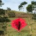 After Creates 108-foot Vagina Sculpture on Hill Near Her House, an Artist Becomes Viral