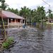 The Floods Soak Kuala Gaung Village in Indragiri Hilir