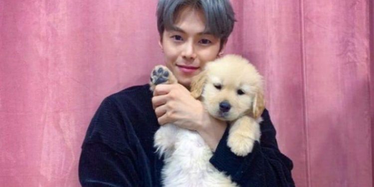 Penthouse Actor Park Eun Seok Accused Of Abandoning His Pets