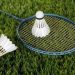 Three Indonesian Badminton Players Have Been Banned for Life for Match-fixing