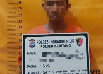 Stealing, a Recidivist in Indragiri Hilir was Secured