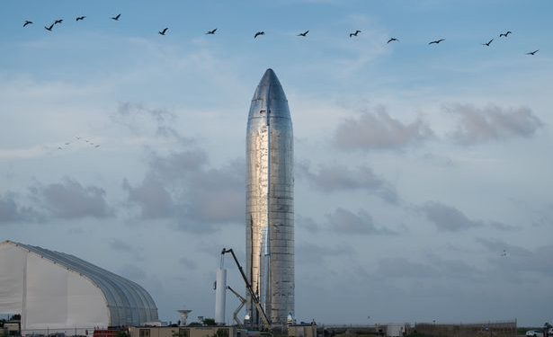 Elon Musk Fears that Humans May Self-extinguish Before Can Colonise of Mars