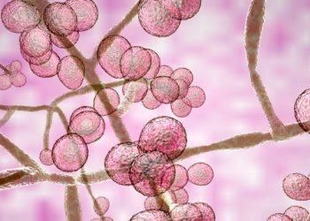 Warning: Next Pandemic Could Be Scary Because of This Reason…