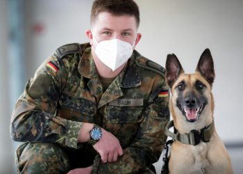 Amazing, the German Sniffer Dogs Could Detect Covid-19 With 94 Percent Accuracy