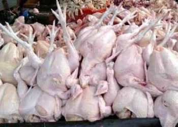 The Chicken Meat Prices in Tembilahan Raised Again