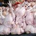 The Chicken Meat Prices in Tembilahan Raised Again