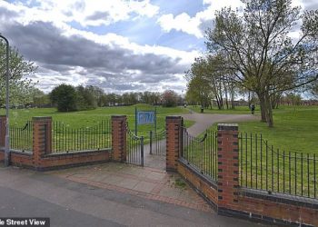 A Baby Boy Mauled by Dog While Playing on Park