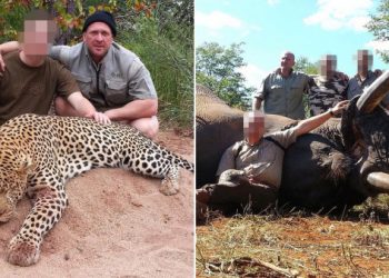Cruel, British Hunter Killing Animals in Africa During Pandemic