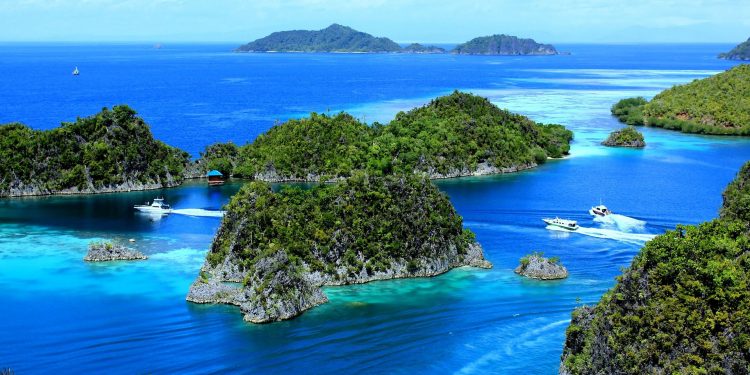 Raja Ampat, a Place that  Rich in Marine Flora and Fauna Diversity