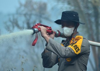 5 Hectares of Land Burnt in Tempuling