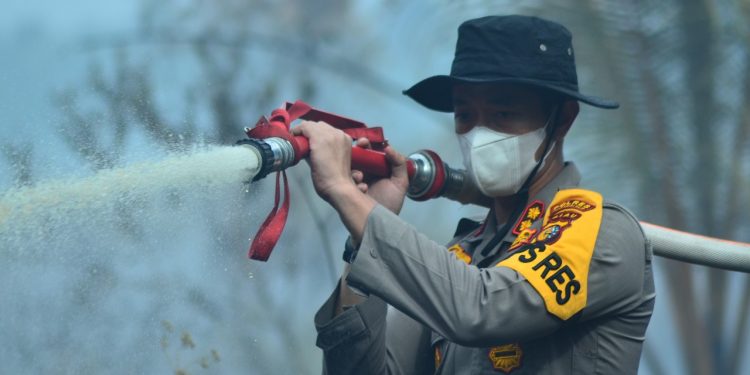 5 Hectares of Land Burnt in Tempuling