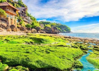 Bingin Beach, One of the Most Popular Spots for Surfing in Bali