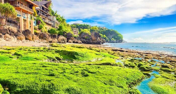 Bingin Beach, One of the Most Popular Spots for Surfing in Bali