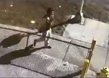 A Car With 30 Vials of COVID-19 Vaccines Inside was Stolen by Stranger