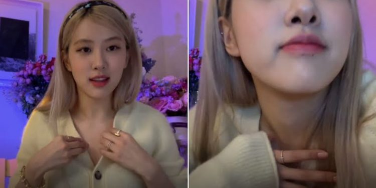 BLACKPINK Fans Wanted To Protect Rosé From A Wardrobe Malfunction