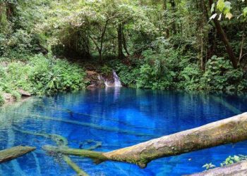 Danau Kaco, a Hidden Paradise in Jambi that has a Tragic Story