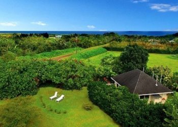 A Beautiful and Peaceful Rural Atmosphere in Okura Tourism Village in Pekanbaru