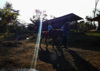 Bhumi Merapi Agro-Tourism in Jogja, an Education Place for Vacation With Family