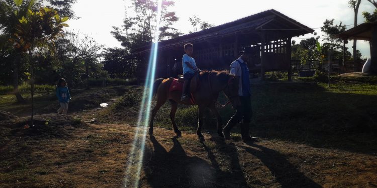 Bhumi Merapi Agro-Tourism in Jogja, an Education Place for Vacation With Family