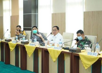 PT. Sinar Samudra Agro Teknologi Offers Cultivation of Taro and Fragrant Pandan Coconut to Indragiri Hilir Regency Government