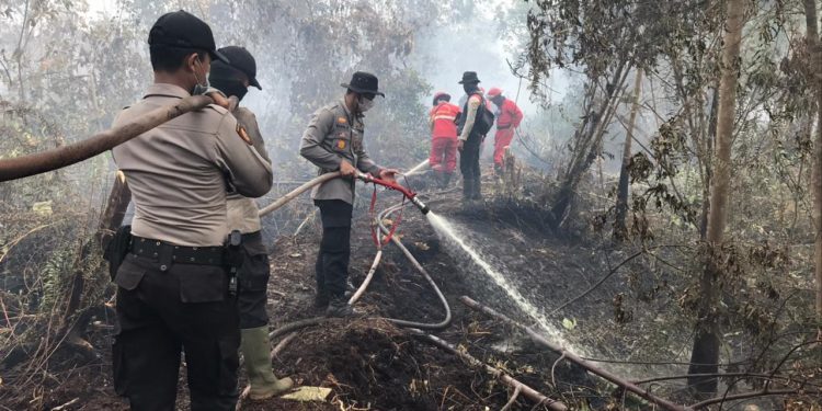 Land Fires in Kempas – Indragiri Hilir Are Still In The Process Of Extinction