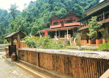 The Beauty of Sumatra Jungle Inn, Has a Private Waterfall and a Place for Trekking, Rafting, and Seeing Wild Orangutans