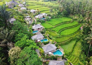 Ubud, Sanur, and Nusa Dua Become a COVID-19 Green Zones for Foreign Tourists