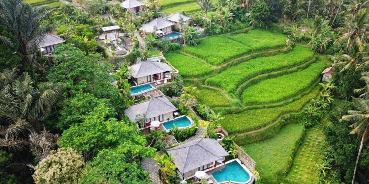 Ubud, Sanur, and Nusa Dua Become a COVID-19 Green Zones for Foreign Tourists