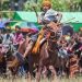 History of Pasola War Festival Tradition in Sumba
