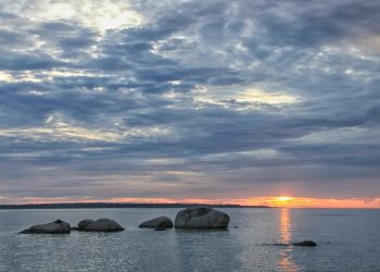 Found the Beauty of the Sun that Immersed in the Forest