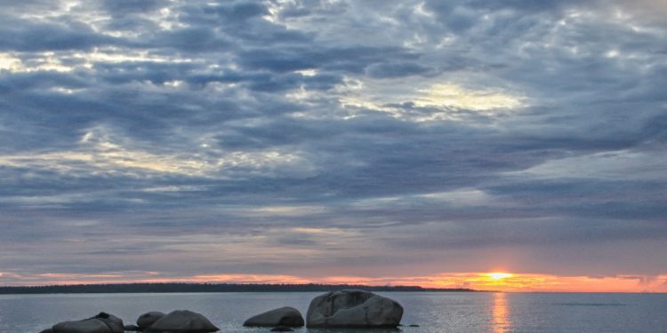 Found the Beauty of the Sun that Immersed in the Forest