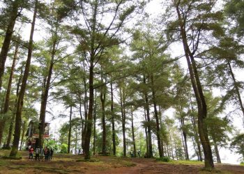 Malino, a Natural Tourism Paradise in the Corner of Gowa Regency