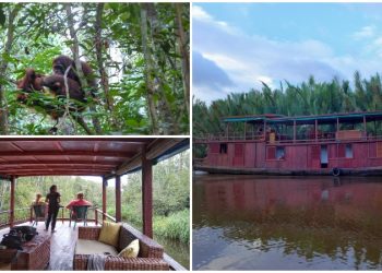 Cruising Down the Sekonyer River, a Quiet River in Southern Borneo