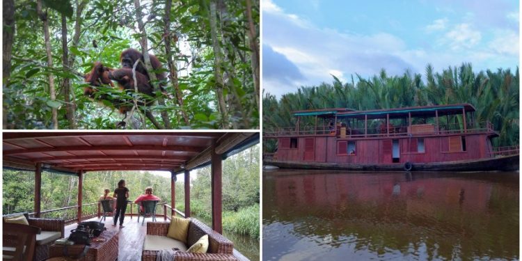 Cruising Down the Sekonyer River, a Quiet River in Southern Borneo