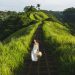 Best Tips When You Travelling to Ubud