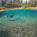 The Way Sumpang Springs, an Underwater View in Lampung