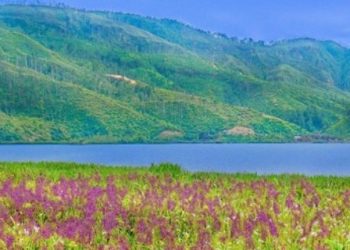 Lake Siais, the Sacred Tourism in Tapanuli