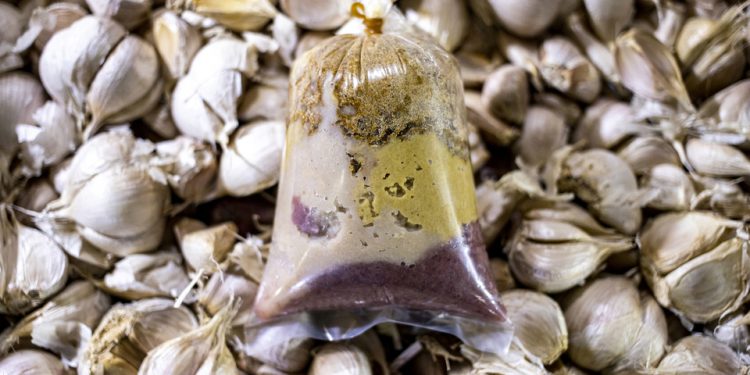 Spice Up Your Cooking With Indonesia’s Traditional Spices