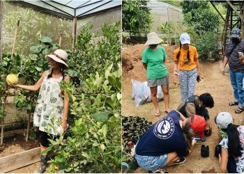 The Perfect Time to Get Into Organic Gardening in Bali